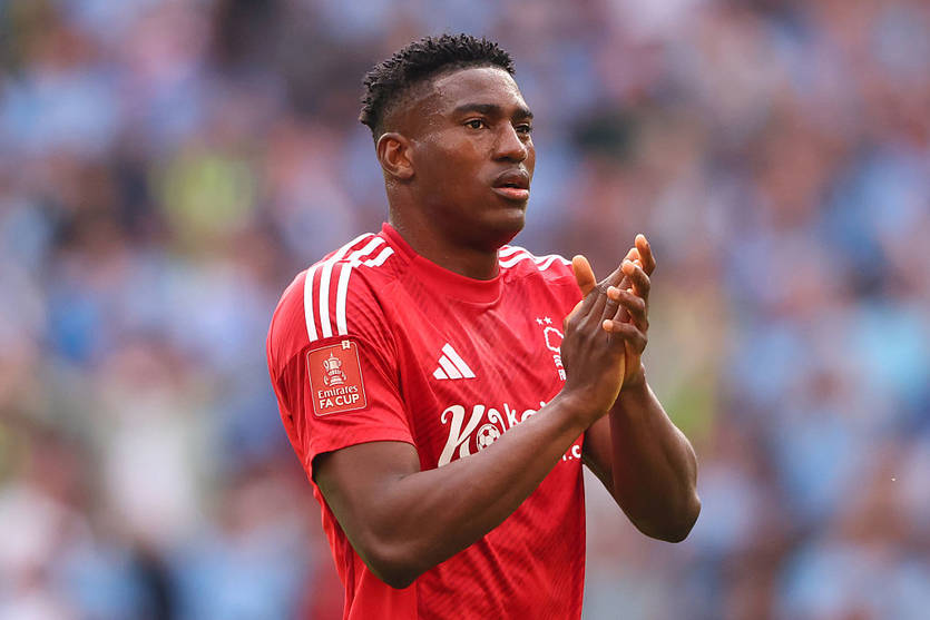 Тайво Авонийи / Getty Images