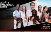 Элина Свитолина и её собака Визз — новые амбассадоры рекламной кампании Purina® PRO PLAN®
