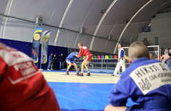 Международная федерация самбо допустила террористов на свои турниры