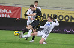 Рух в большинстве нанес поражение Полесью