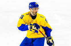 Назван лучший хоккеист Украины в 2025 году