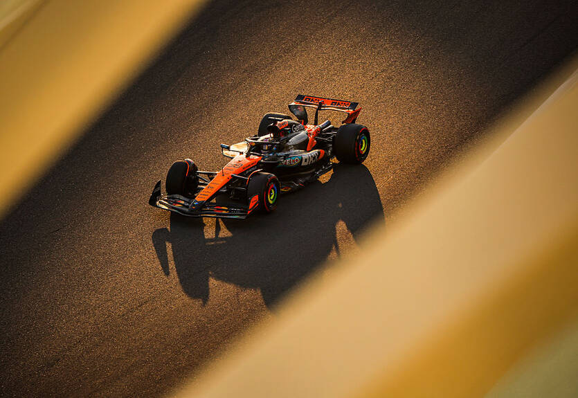 Стелла - про "правила папайї" в новому сезоні: Виявили кілька можливостей