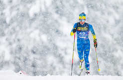 Лижні гонки: жодна українка не пройшла кваліфікацію