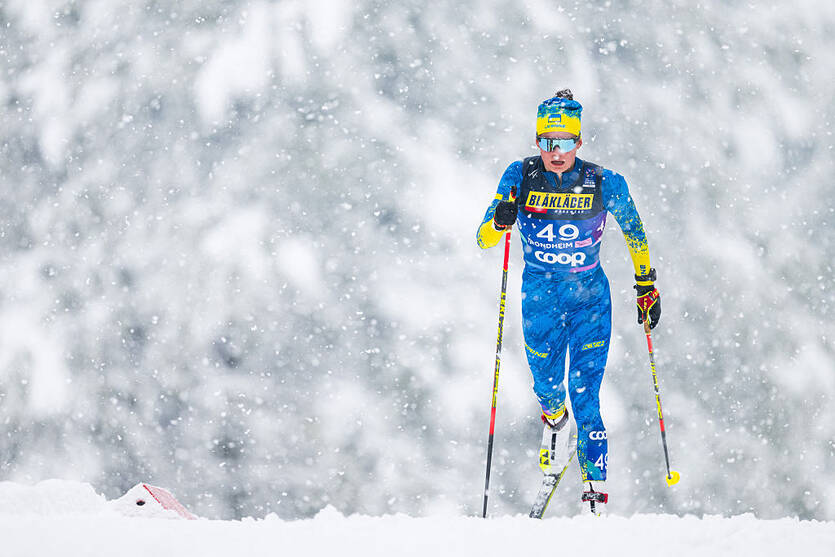 София Шкатула / Getty Images