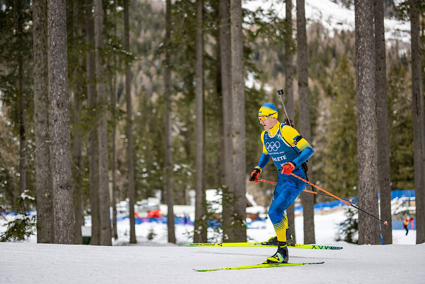 Дмитро Підручний / Getty Images