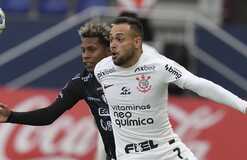 CAS стал на сторону Шахтера в деле Майкона