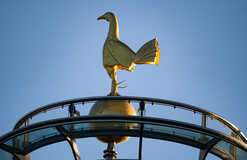 Травмированный игрок Тоттенхэма может возглавить команду