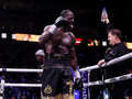 Уайлдер столкнулся с Джошуа после победы над Чисорой и вызвал на бой