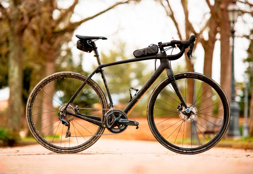 Trek Checkpoint SL6 2019: супер-грейвел, с которым — хоть на шоссе, хоть за грибами