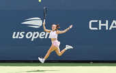 Третья ракетка Украины отдаст более двух миллионов гривен с US Open