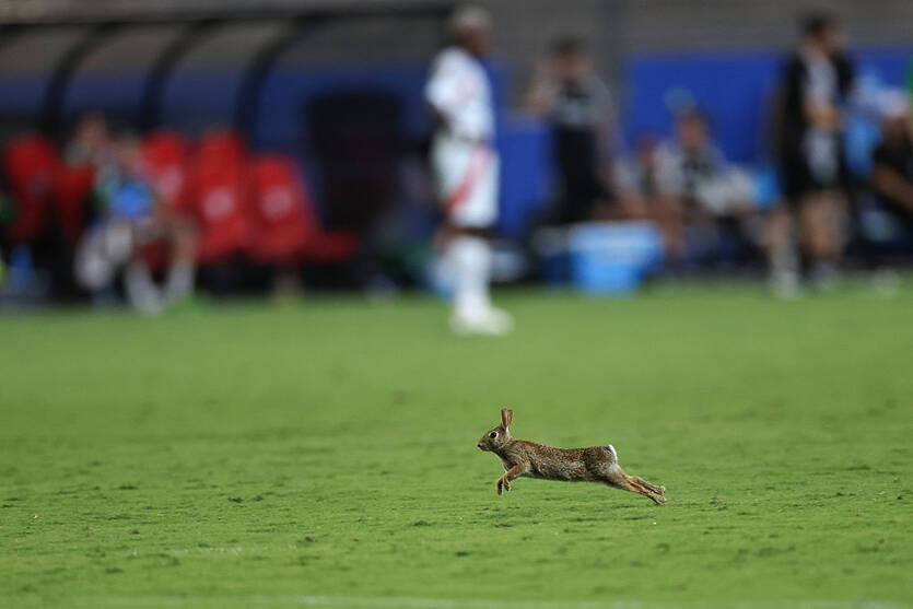 B-Rabbit / Getty Images