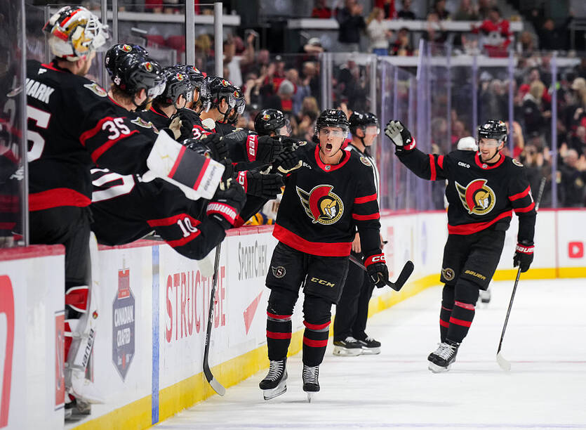 Ottawa Senators  / Getty Images