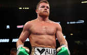 Альварес проведет следующий бой в сентябре