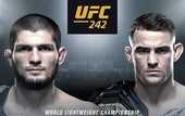 Нурмагомедов - Порье: дата и время боя на UFC 242 Нурмагомедов - Порье: дата и время боя на UFC 242