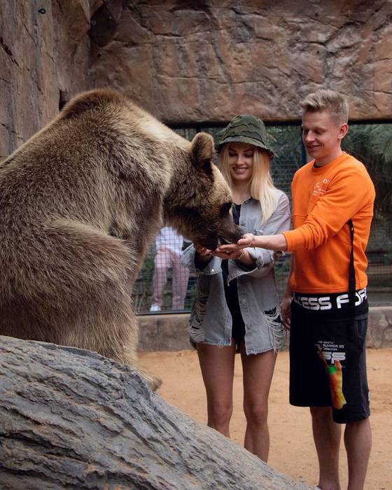 Зинченко и Седан прямо с рук покормили медведя в Дубае ...
