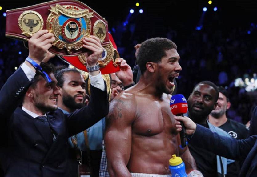 Хирн поведал первые подробности возможного боя Джошуа - Фьюри