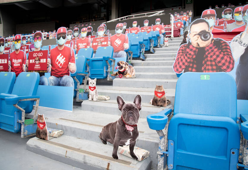 Мы заждались: когда вернется спорт?