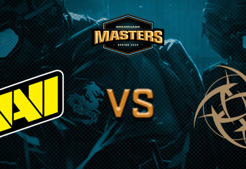 NaVi - NIP: онлайн-трансляция поединка DreamHack Masters Spring 2020