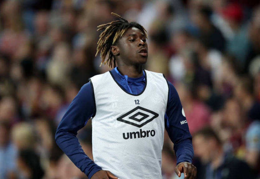 Звезда Эвертона отдал 30 тысяч фунтов за двух псов-охранников