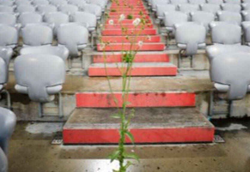 Стадион Баварии порос сорняком за время карантина