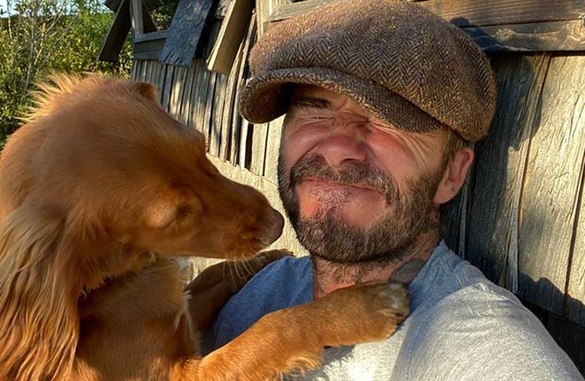 Дэвид Бекхэм / instagram.com/davidbeckham