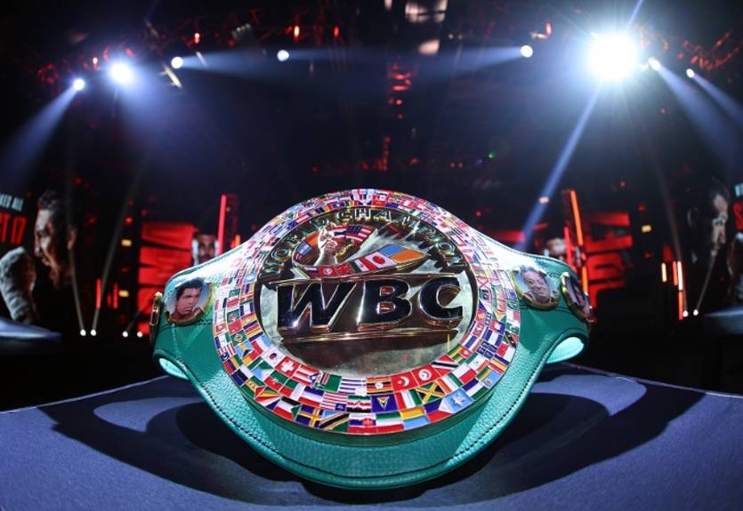 Президент WBC официально объявил о создании нового дивизиона в боксе Президент WBC официально объявил о создании нового дивизиона в боксе