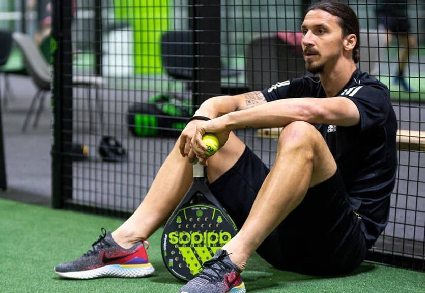 Ибрагимович показал свои балканские корни