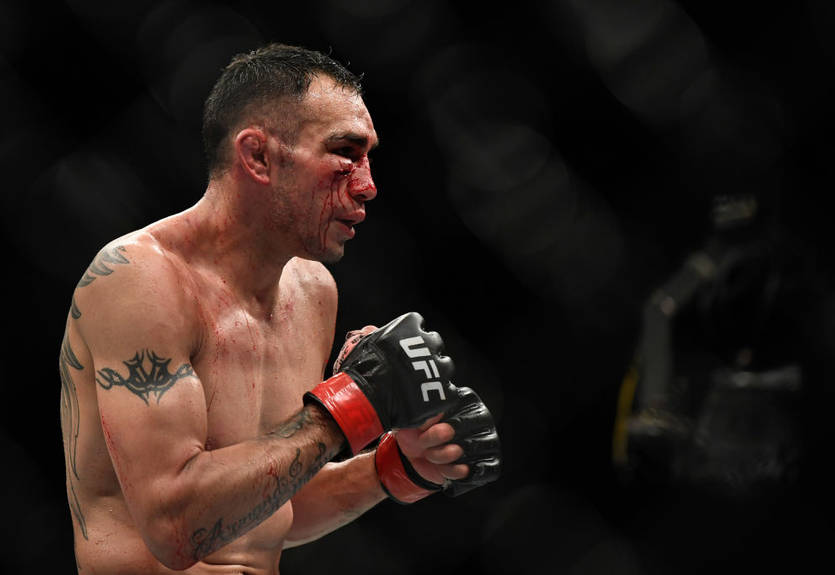 UFC показала реакцию Фергюсона на заявление Хабиба о завершении карьеры UFC показала реакцию Фергюсона на заявление Хабиба о завершении карьеры