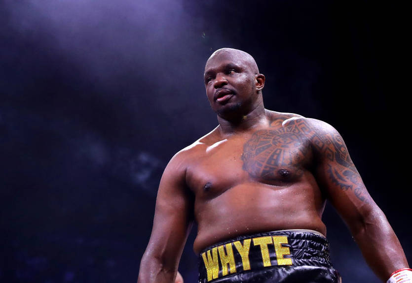 Хирн: Мне нравится поединок Уайт - Уайлдер