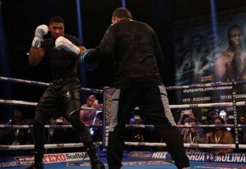 Спарринг-партнер Джошуа: Кличко никогда не дрался с таким бойцом, как Энтони