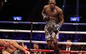 Уайлдер проведет объединительный бой