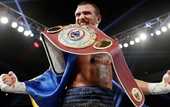 Fight News: Ломаченко - лучший боксер года