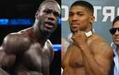Уайлдер: "Если Джошуа одолеет Кличко, сражусь с ним"