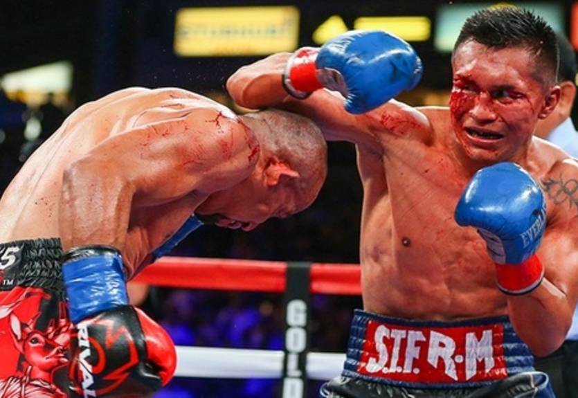 Бой Салидо - Варгас признан лучшим по версии WBC