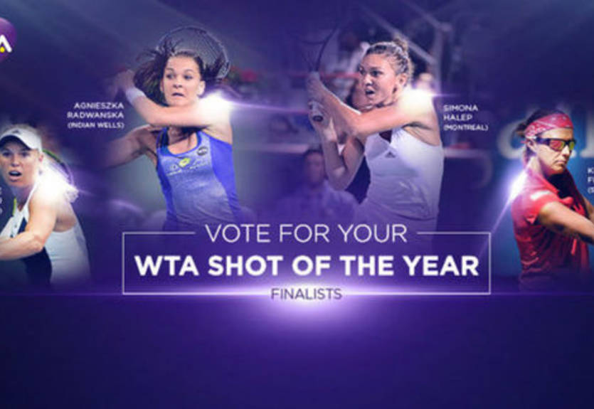 Лучший удар года по версии WTA. Финальная группа