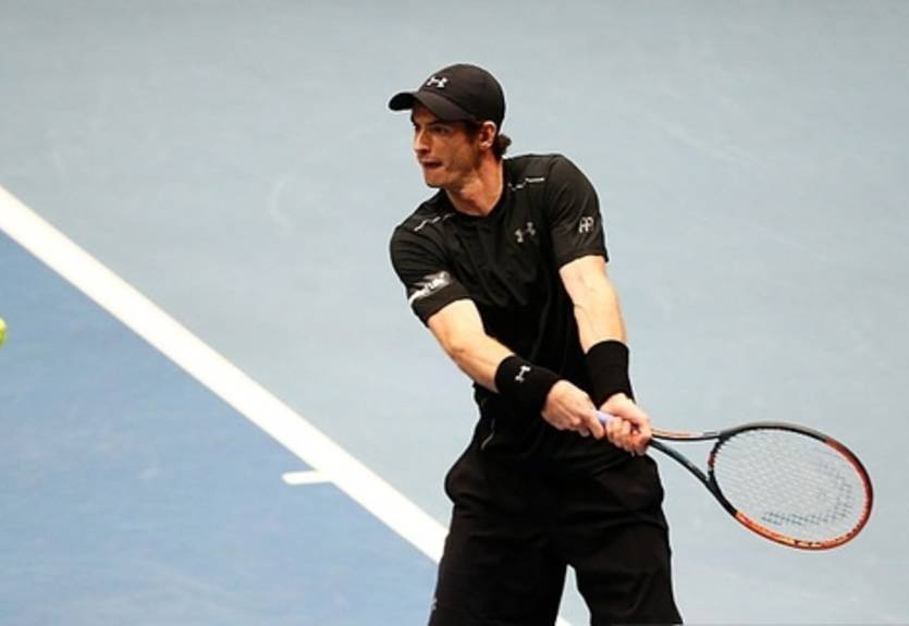 Вена (АТР). Феррер и Маррей последние полуфиналисты