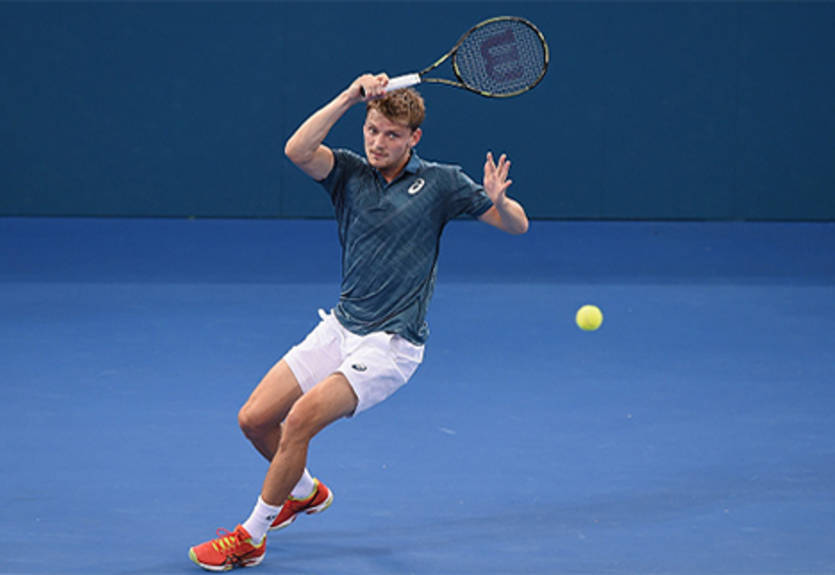 Брисбен (ATP). Гоффен и Штепанек проходят дальше, Истомин и Джонсон покидают турнир