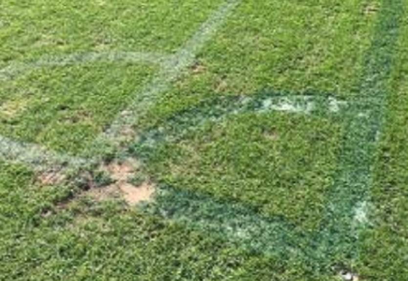 Мальме уменьшил размеры поля