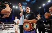 Усик поднимается в рейтинге WBC
