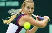 Нью-Хэйвен (WTA). Победы Цибулковой, Возняцки и Шафаржовой
