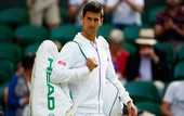 Джокович пробился в полуфинал Уимблдона