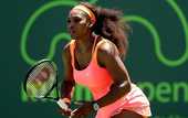 Майами (WTA). Серена и Халеп пробиваются в полуфинал