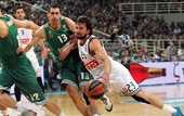 Евролига. Панатинаикос разбил Реал, Олимпиакос уступил Басконии