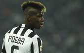 Юве отвергает предложения по Погба