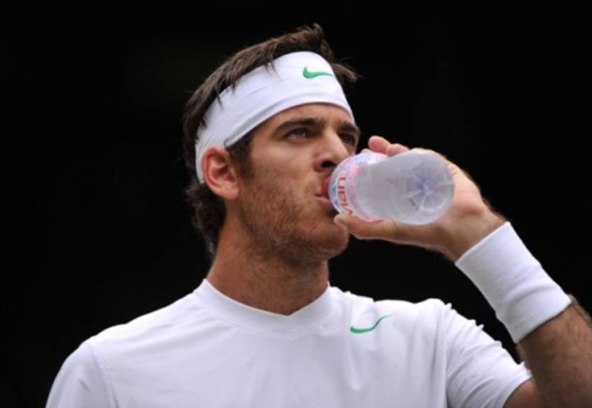 Дель Потро не сыграет на US Open (16.08.14)