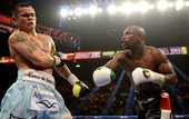 Официально: Мейвезер вновь сразится  с Майданой