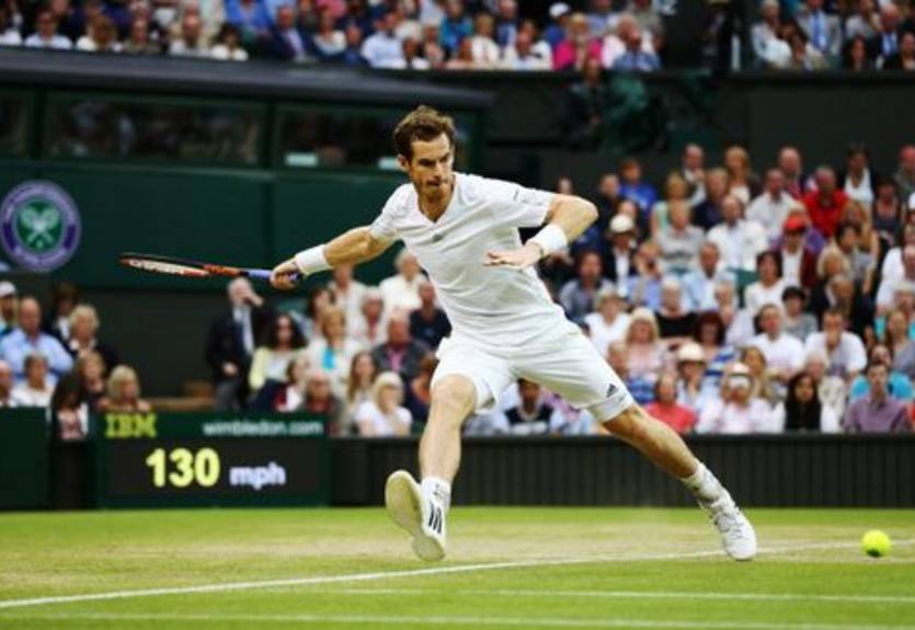 Уимблдон (АТР). Триумф Маррея и Джоковича, дебютный четвертьфинал Димитрова