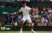 Уимблдон. Джокович возглавил посев, Долгополов 21-й