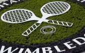 Уимблдон-2014: объявлен рекордный призовой фонд