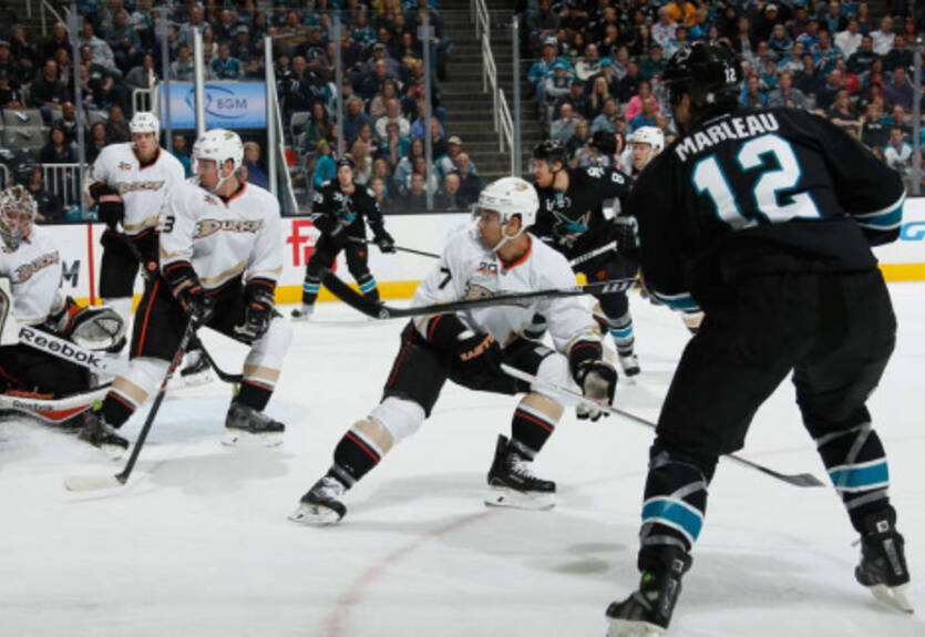 НХЛ. Сан-Хосе — Анахайм, важные победы Детройта и Коламбуса, крах Оттавы